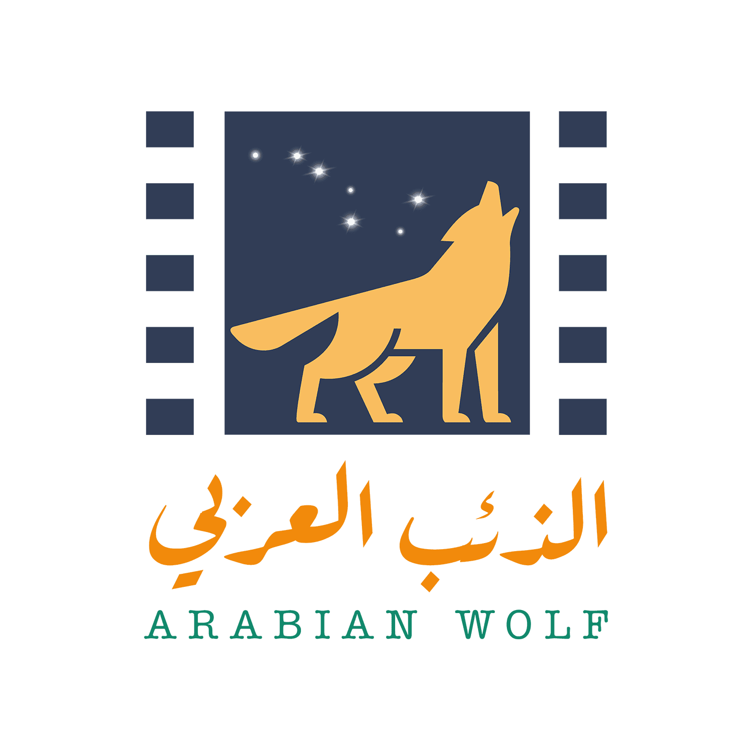 Arabian Wolf LLC